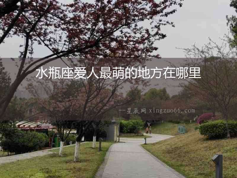 水瓶座愛(ài)人最萌的地方在哪里