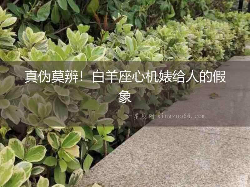 真偽莫辨！白羊座心機婊給人的假象