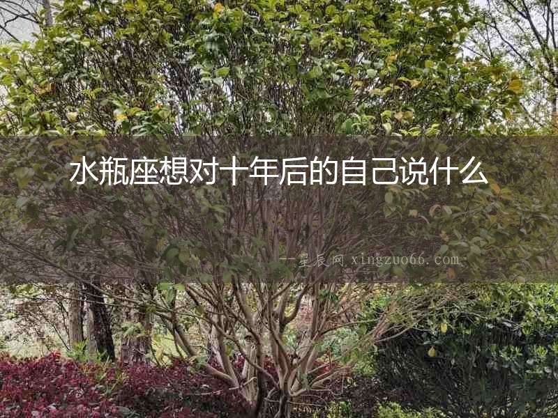 水瓶座想對十年后的自己說什么