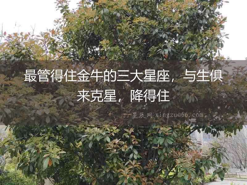最管得住金牛的三大星座，與生俱來克星，降得住