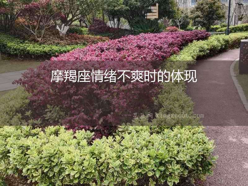 摩羯座情緒不爽時的體現