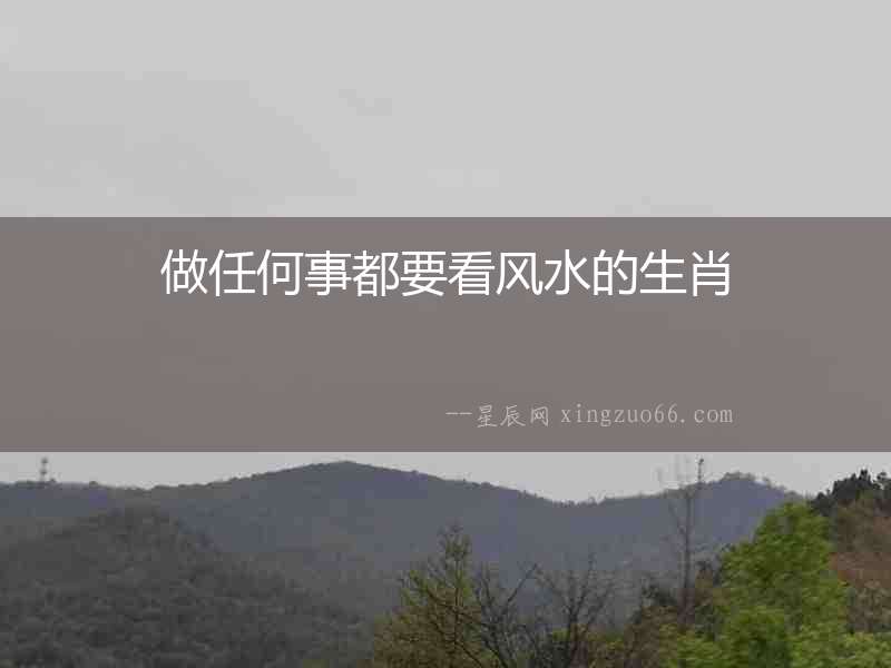 做任何事都要看風水的生肖