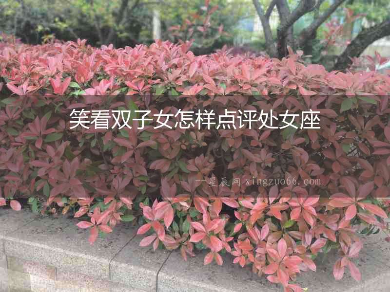 笑看雙子女怎樣點評處女座