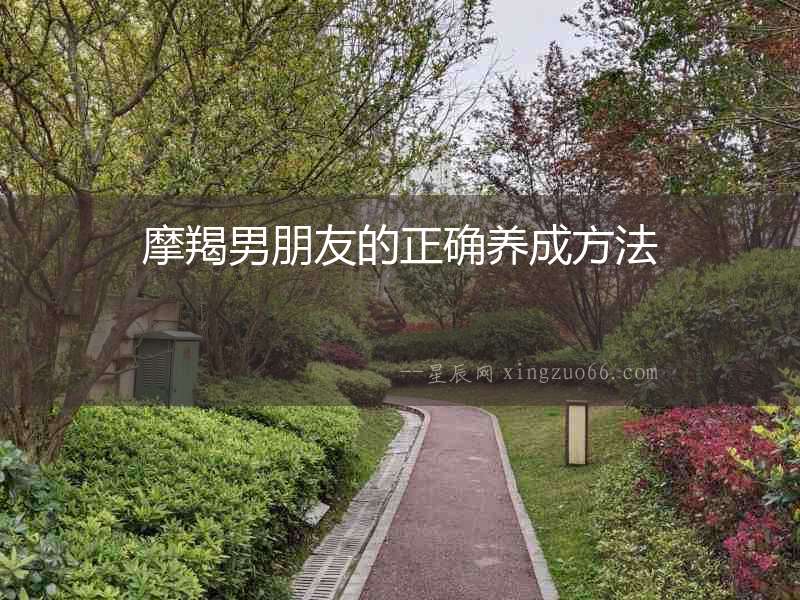 摩羯男朋友的正確養(yǎng)成方法