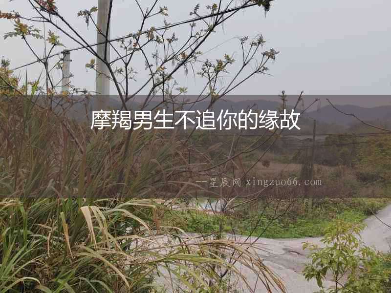 摩羯男生不追你的緣故