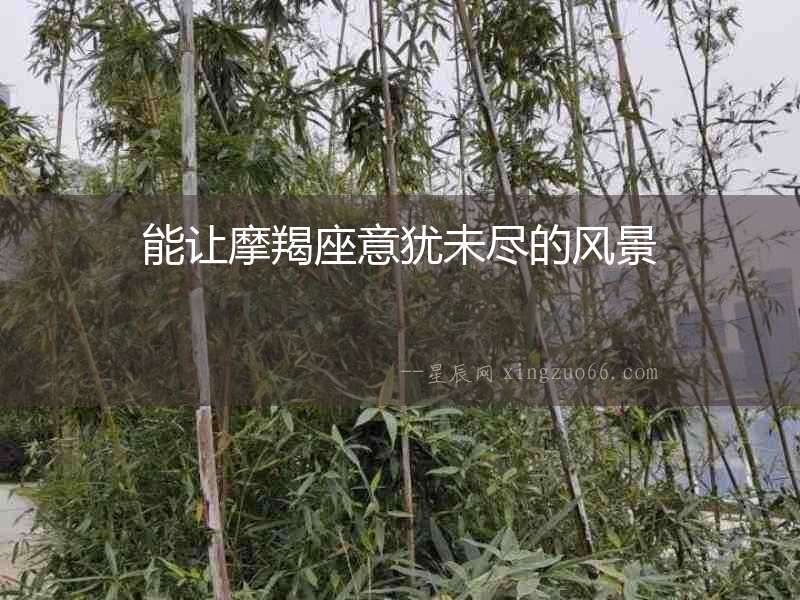 能讓摩羯座意猶未盡的風景