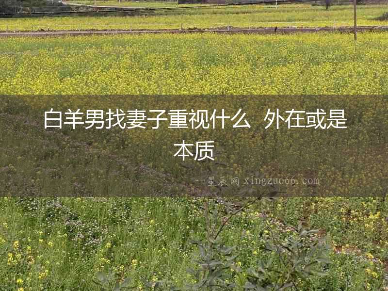白羊男找妻子重視什么  外在或是本質