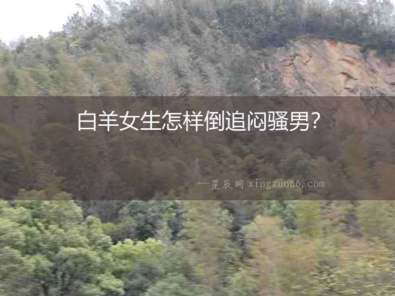 白羊女生怎樣倒追悶騷男？