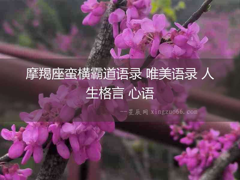 摩羯座蠻橫霸道語錄 唯美語錄 人生格言 心語