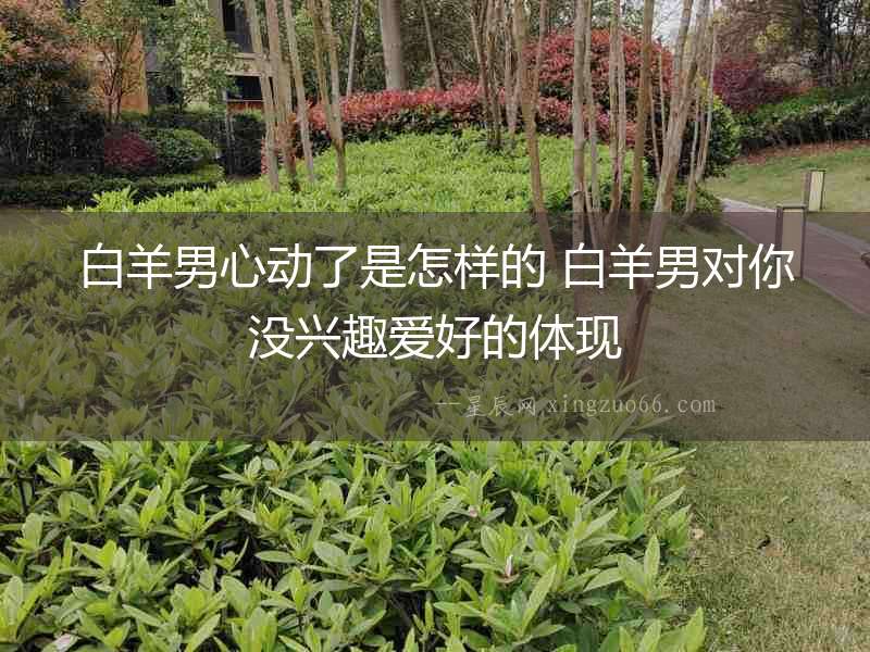 白羊男心動了是怎樣的 白羊男對你沒興趣愛好的體現