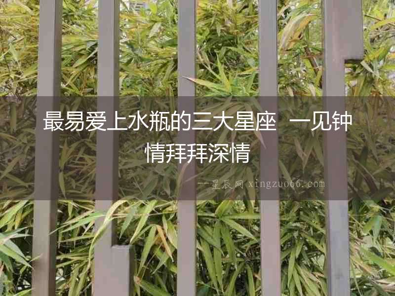 最易愛上水瓶的三大星座  一見鐘情拜拜深情
