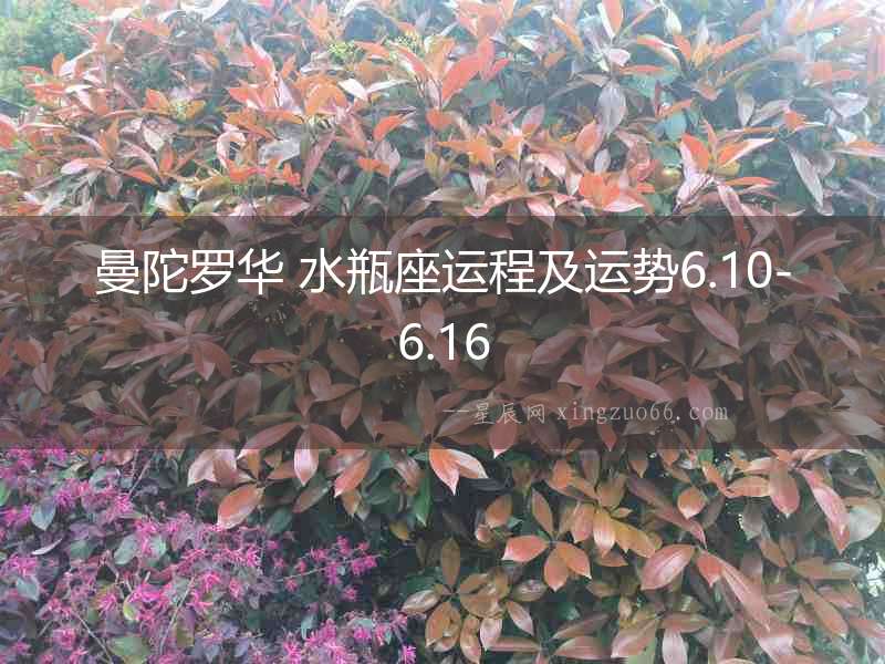 曼陀羅華 水瓶座運程及運勢6.10-6.16