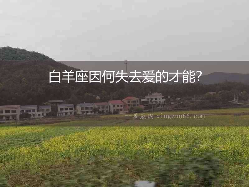 白羊座因何失去愛的才能？