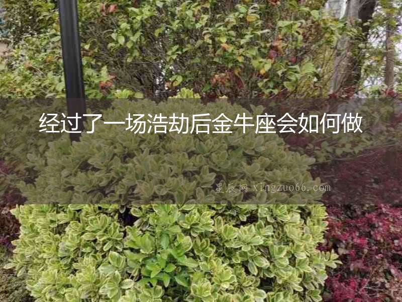 經(jīng)過(guò)了一場(chǎng)浩劫后金牛座會(huì)如何做