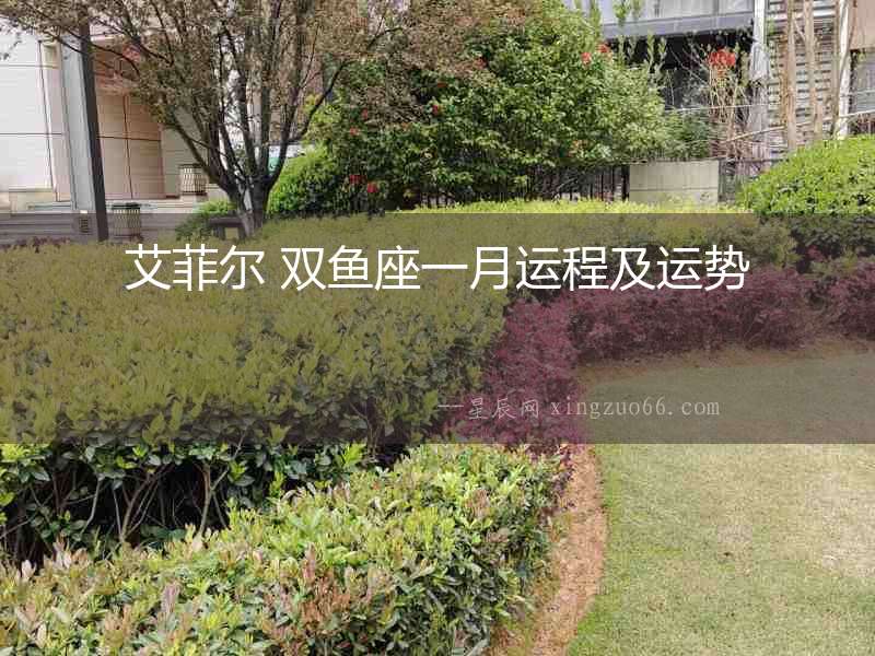 艾菲爾 雙魚座一月運程及運勢