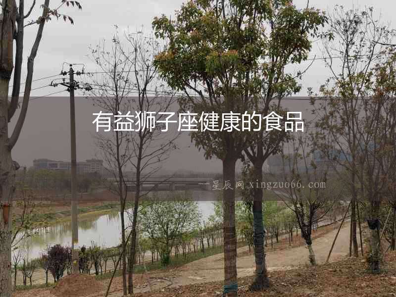 有益獅子座健康的食品