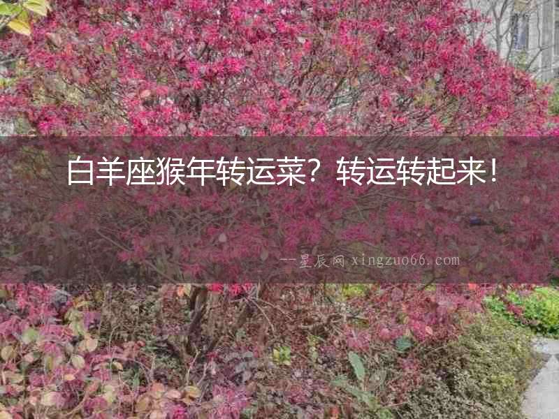 白羊座猴年轉(zhuǎn)運菜？轉(zhuǎn)運轉(zhuǎn)起來！