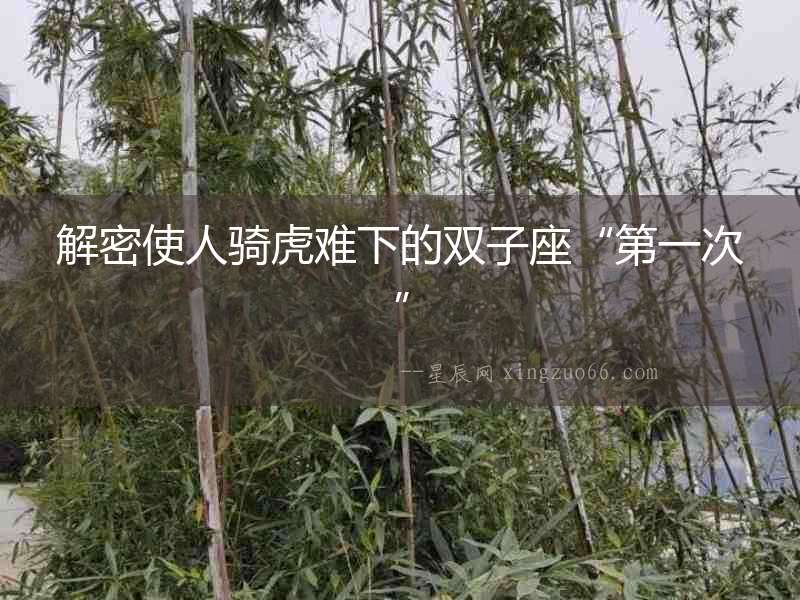 解密使人騎虎難下的雙子座“第一次”