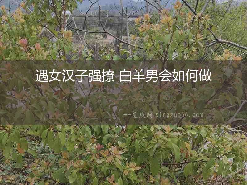 遇女漢子強撩 白羊男會如何做