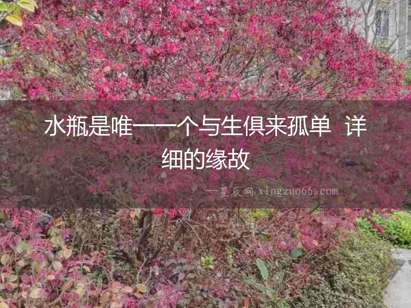 水瓶是唯一一個與生俱來孤單  詳細(xì)的緣故
