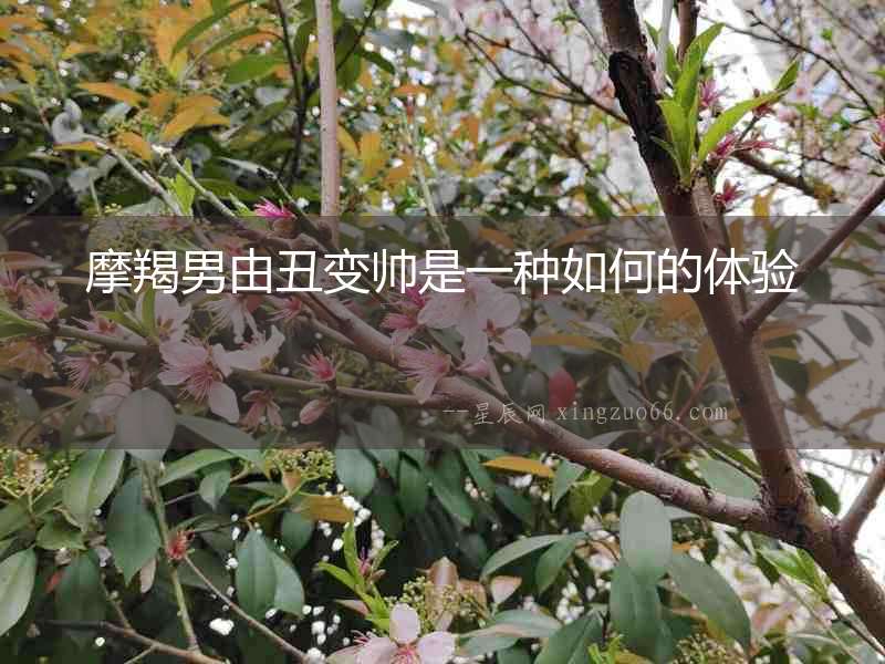 摩羯男由丑變帥是一種如何的體驗
