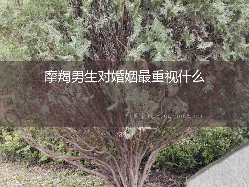 摩羯男生對婚姻最重視什么