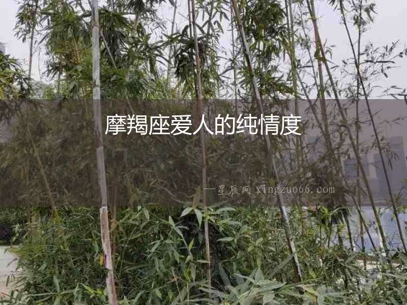 摩羯座愛人的純情度