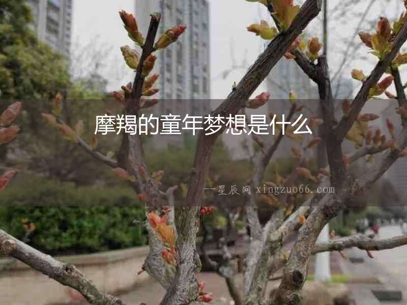 摩羯的童年夢想是什么