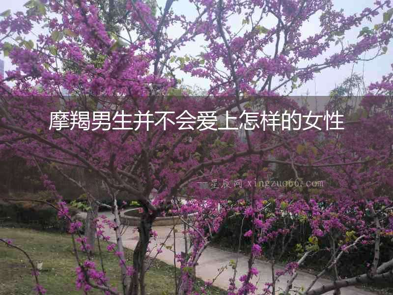 摩羯男生并不會愛上怎樣的女性