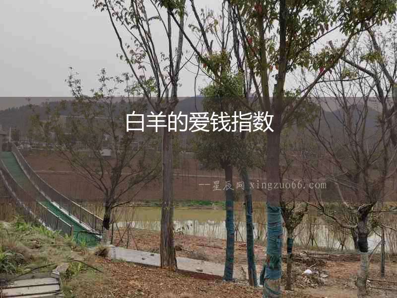 白羊的愛錢指數