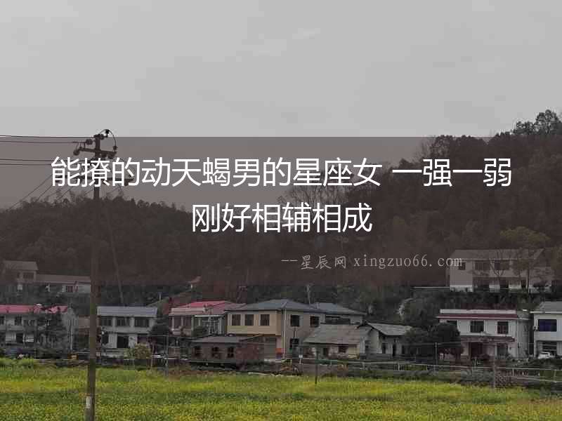 能撩的動天蝎男的星座女 一強一弱剛好相輔相成