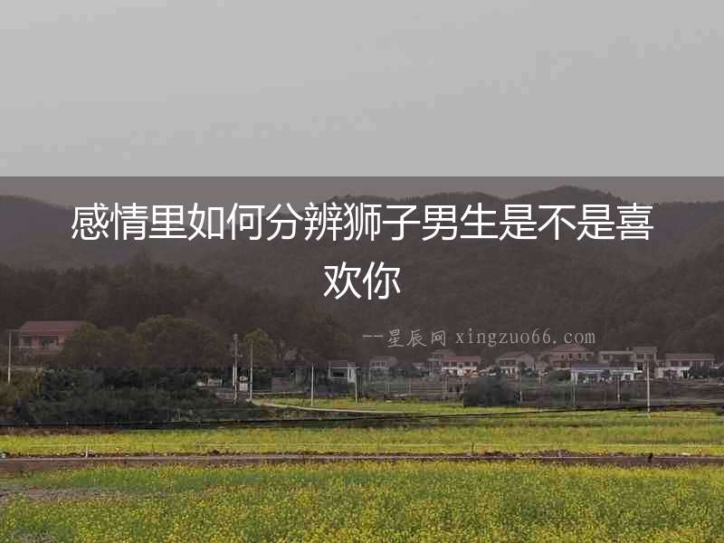 感情里如何分辨獅子男生是不是喜歡你