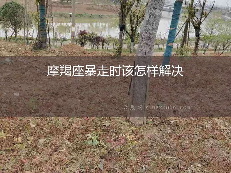 摩羯座暴走時該怎樣解決