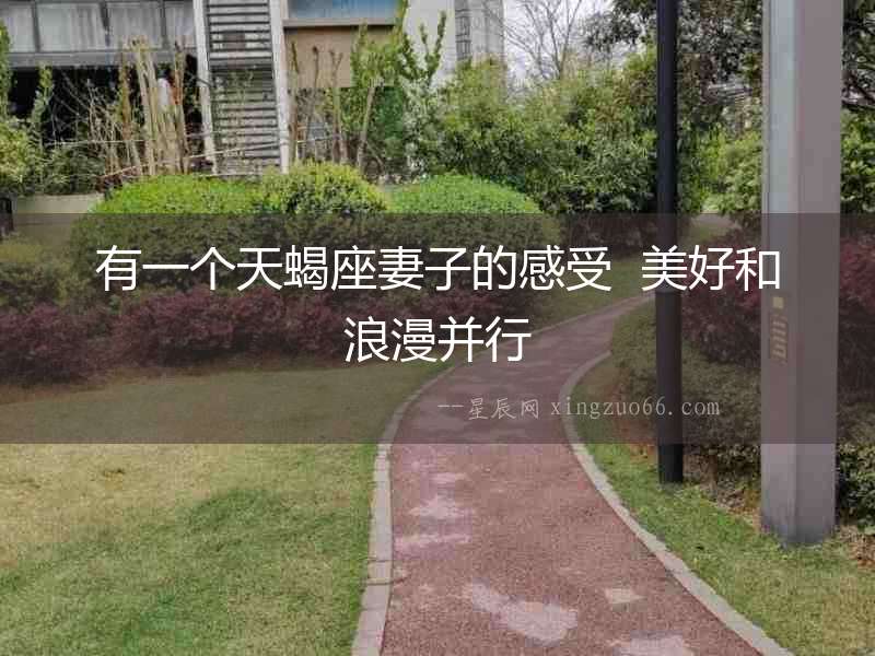 有一個天蝎座妻子的感受  美好和浪漫并行