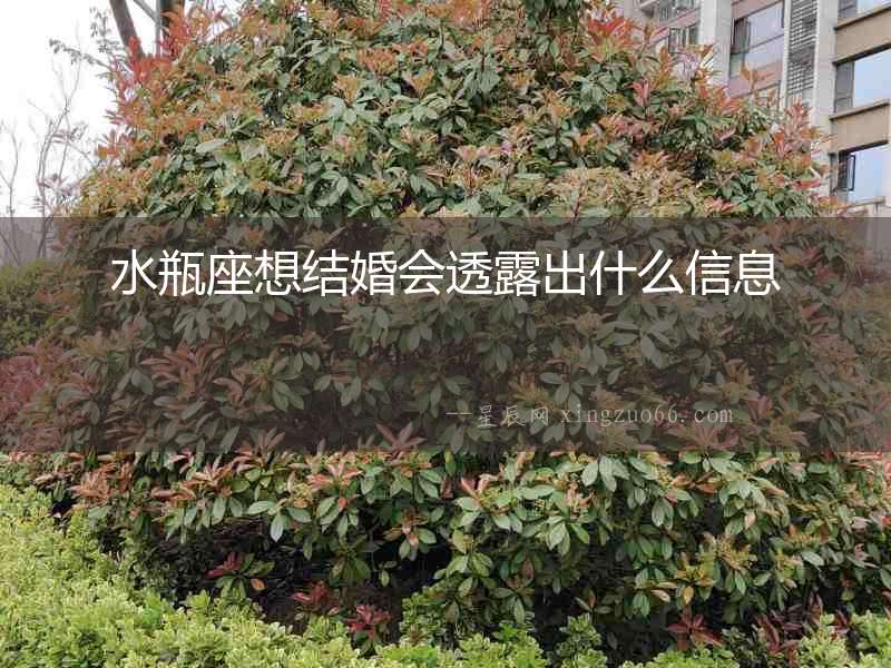 水瓶座想結婚會透露出什么信息