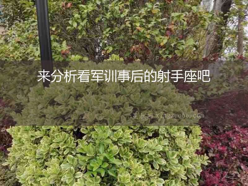 來分析看軍訓事后的射手座吧