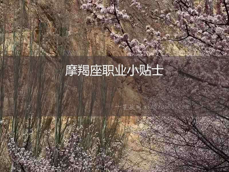 摩羯座職業小貼士