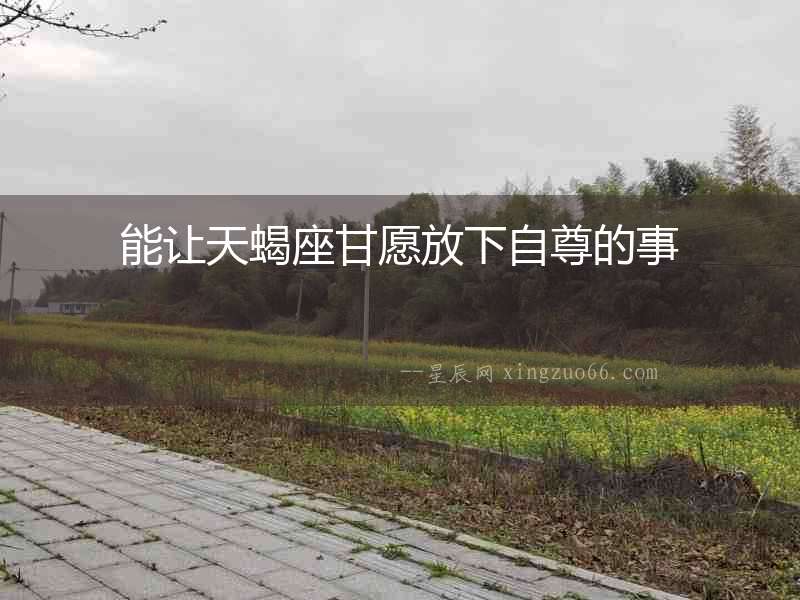 能讓天蝎座甘愿放下自尊的事
