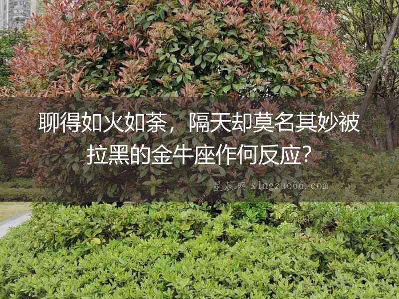 聊得如火如荼，隔天卻莫名其妙被拉黑的金牛座作何反應？