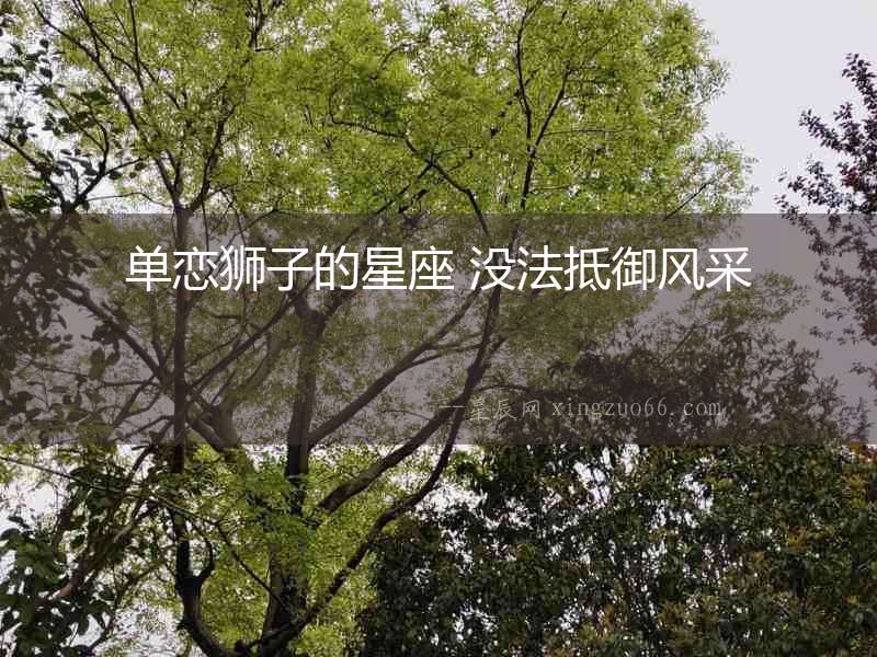 單戀獅子的星座 沒法抵御風采
