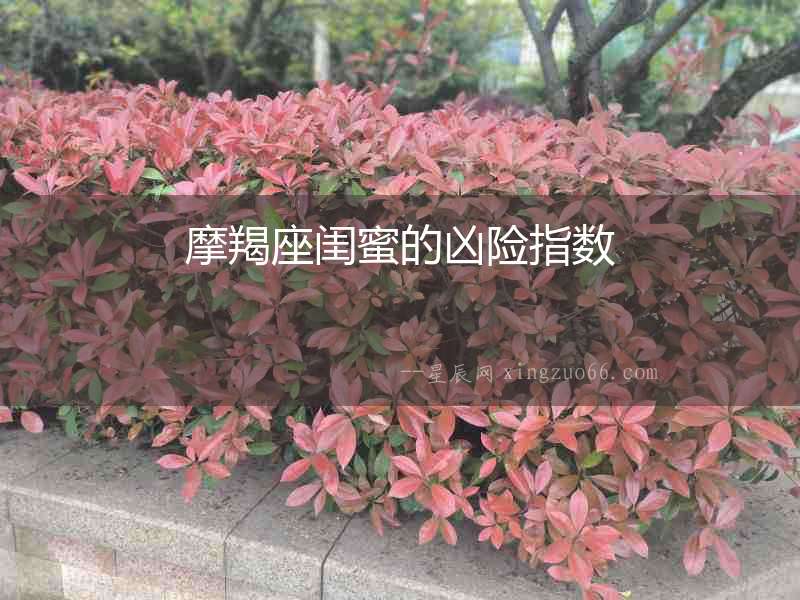 摩羯座閨蜜的兇險指數