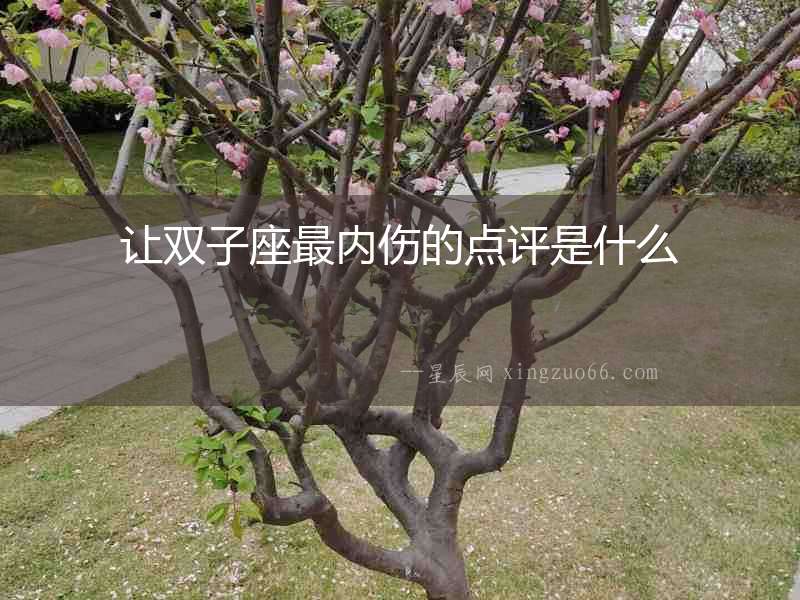 讓雙子座最內傷的點評是什么