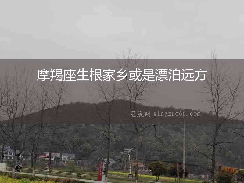 摩羯座生根家鄉或是漂泊遠方