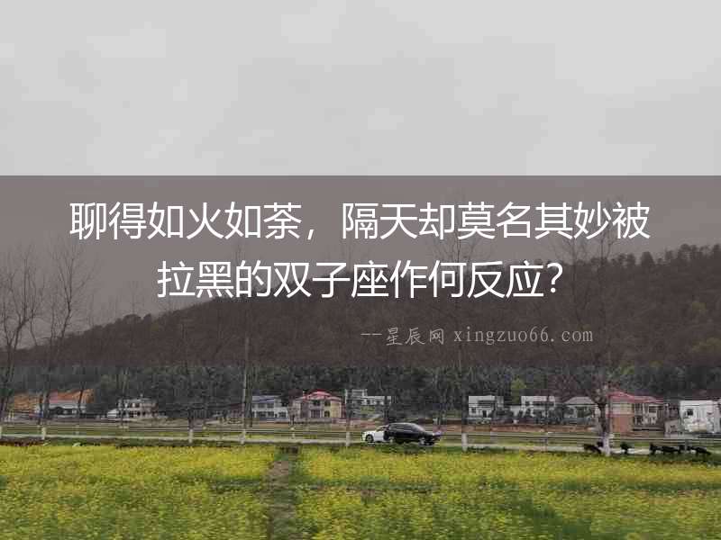 聊得如火如荼，隔天卻莫名其妙被拉黑的雙子座作何反應？