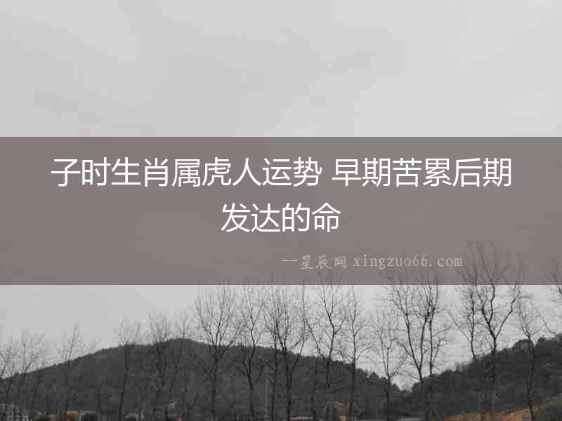 子時(shí)生肖屬虎人運(yùn)勢(shì) 早期苦累后期發(fā)達(dá)的命