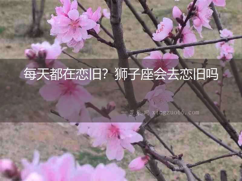 每天都在戀舊？獅子座會去戀舊嗎