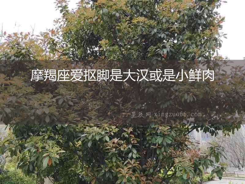摩羯座愛(ài)摳腳是大漢或是小鮮肉