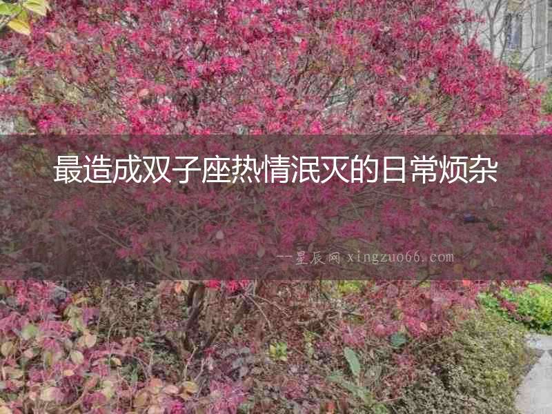 最造成雙子座熱情泯滅的日常煩雜