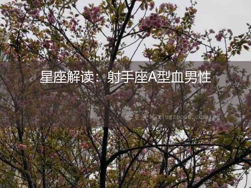 星座解讀：射手座A型血男性
