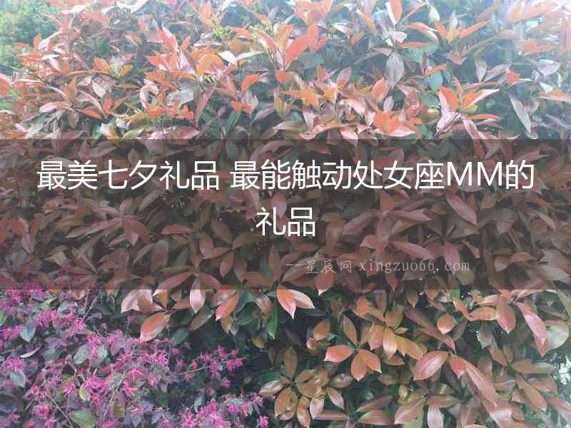 最美七夕禮品 最能觸動處女座MM的禮品